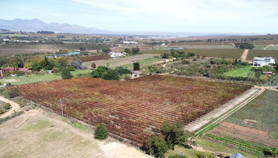 3 Bedroom Property for Sale in Stellenbosch Farms Western Cape